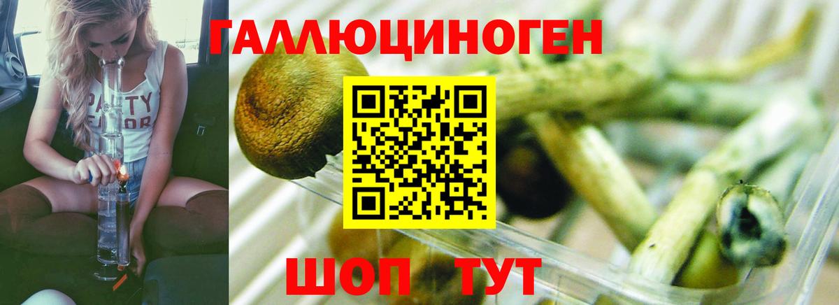 Феодосия  Галлюциногенные грибы Psilocybe  Вход с VPN 